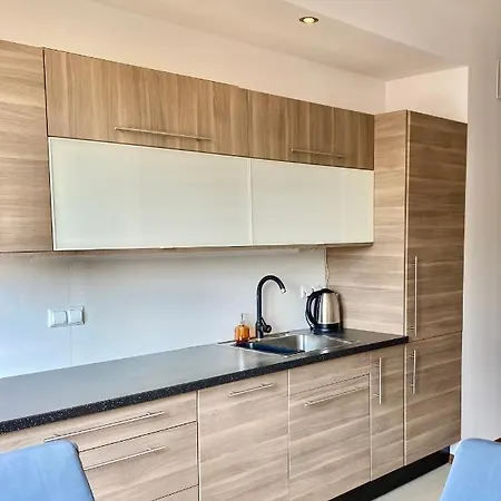 Project Comfort Jana Kazimierza 17/47 Wola Apartment